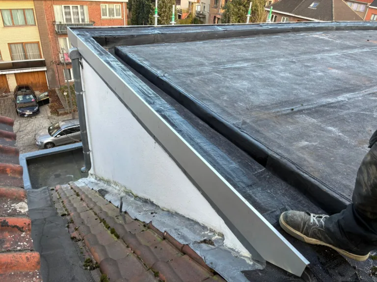 Dakproject van Brumas
