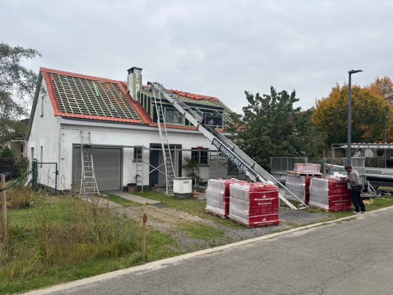 Dakproject van Brumas